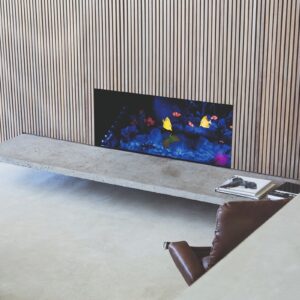 dimplex-opti-virtual-aquarium-image